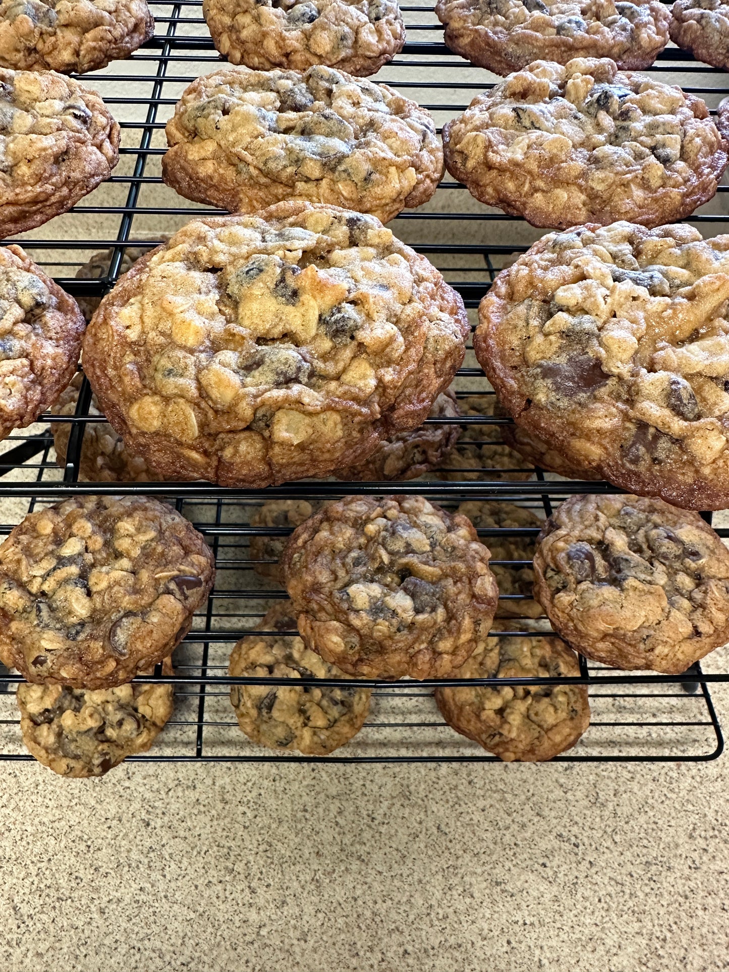 Chocolate Walnut Oatmeal Raisins